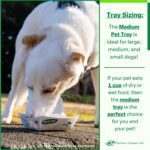 Southern Champion Tray, Medium Disposable Pet Food Bowl, 1 Cup (50 Quantity) Cat Tray, Travel Pet Bowl, Feeding Cats and Dogs, Wet Dry Food, Indoor and Outdoor, One Cup Capacity - Image 7