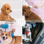 3 Pcs Pet Grooming Loop for Dogs Dog Grooming Supplies Adjustable Fixed Dog Cat Safety Rope Nylon Restraint Noose for Pet Groomings Table and Dogs Groomings Arm - Image 6
