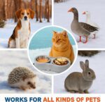 Pet Heated Bowl for Cat Dog, Freeze-Proof Warming Animal Food Feeder with Anti-Chew Cord,Waterproof & Thermostat Heating Bowls Removeable, (2 x 23 fl oz, Grey) - Image 4
