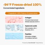 JEU'DEMEURE DermiShuttle Lifting Kit - Anti Aging Serum, Face Serum for Firming, Anti Wrinkle, Skin Elasticity, Hydrating with Collagen, Peptides, Korean Skincare (8 Weeks) - Image 7