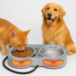 Pet Heated Bowl for Cat Dog, Freeze-Proof Warming Animal Food Feeder with Anti-Chew Cord,Waterproof & Thermostat Heating Bowls Removeable, (2 x 23 fl oz, Grey) - Image 2
