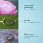 ELEMIS Pro-Collagen Rose Marine Cream - Image 4