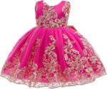 Jup'Elle Flower Girl Dresses for Wedding Embroidery Formal Dress Baby Girls Princess Pageant Party Dress with Headwear - Image 4