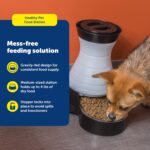 PetSafe Healthy Pet Food Station - Automatic Indoor Gravity Cat & Dog Feeder - Space-Saving Self Feeder - Easy to Clean - Medium - Up to 4 lb Kibble Capacity - Image 4