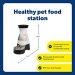 PetSafe Healthy Pet Food Station - Automatic Indoor Gravity Cat & Dog Feeder - Space-Saving Self Feeder - Easy to Clean - Medium - Up to 4 lb Kibble Capacity - Image 6