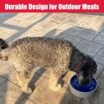 SPOT Standard Crock Dish - Heavy Duty, Non-Slip, Round Ceramic Food/Water Bowl for Pets, Ideal for Medium to Large Dogs or Multiple Animals, Dishwasher Safe - 9.5 in, 8 Cups, (64 Oz) - Image 7