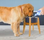 Dog Bowl Stand (12-inch High) - Ideal for Large Breeds - Adjustable Sideways, Slanted Feet - Elevates, Raises Pet Food Feeders, Water Dishes, Fountains, Dispensers - Bamboo Stand Only - Image 5
