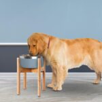 Dog Bowl Stand for Large Breed - 14-inch High, Adjustable Sideways to Fit Various Sizes of Pet Food/Water Bowls, Slow Feeders, and Drink Fountains - Bamboo - Image 6