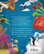 Life Cycles: Everything from Start to Finish - Image 3