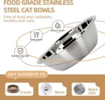 Elevated Cat Bowl, Raised Cat Food and Water Bowl Set for Indoor Cats, Splash Proof with 2 Stainless Steel Pet Food Bowls for Cats and Puppies, Whisker Fatigue and Dishwasher Safe - White - Image 5