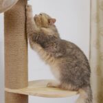 Cat Tree Jumpers Accessories Cat Tower Replacements Floor to Ceiling Cat Jumpers… - Image 6
