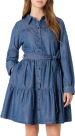 Amazon Essentials Women's Fit and Flare Denim Chambray Long-Sleeve Tiered Shirtdress - Image 2