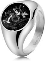 King Will Stainless Steel Ring for Men - Meteorite Inlay Matte Finished Black/Silver/Gold Plated Pinky Signet With Skull/Lion Pattern - Comfort Fit Thumb Ring Size 7-14 - Image 2