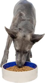 SPOT Standard Crock Dish - Heavy Duty, Non-Slip, Round Ceramic Food/Water Bowl for Pets, Ideal for Medium to Large Dogs or Multiple Animals, Dishwasher Safe - 9.5 in, 8 Cups, (64 Oz) - Image 2