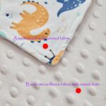 DuShow Dinosaur Baby Blanket for Boys - Ultra Soft Double Layer Minky Blanket with Dotted Backing, Lightweight Receiving Swaddle for Newborns & Toddlers, Nursery, Stroller, Carseat-30x40 Inches - Image 8