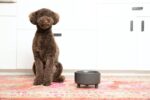 Waggo Uplift Ceramic Dog Bowl for Small Medium and Large Breeds - Heavyweight and Durable Pet Food and Water Dish Crock, Dishwasher Safe, Modern, Elevated Feeder (Black, Medium) - Image 3