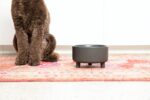 Waggo Uplift Ceramic Dog Bowl for Small Medium and Large Breeds - Heavyweight and Durable Pet Food and Water Dish Crock, Dishwasher Safe, Modern, Elevated Feeder (Black, Medium) - Image 7