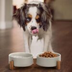 SPUNKYJUNKY Ceramic Dog and Cat Bowl with Wood Stand Non-Slip Matte Glaze Weighted Food Water Set for Cats &Small Dogs 13.5OZ - Image 3