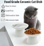 VCEPJH Raised Cat Food Bowls Shallow Cat Plate Pack of 2 Ceramic Elevated Cats Dish 6.1in Flat Anti Whisker Fatigue Wide Pet Food & Water Feeder for Indoor Kitty Kitten (White) - Image 7
