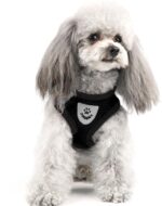 shudyear Summer cat Chest Harness and Leash, Anti-Escape Adjustable Soft mesh cat Leash and Chest Harness Set for All Types of Cats cat Vests (Size S,Black) - Image 7