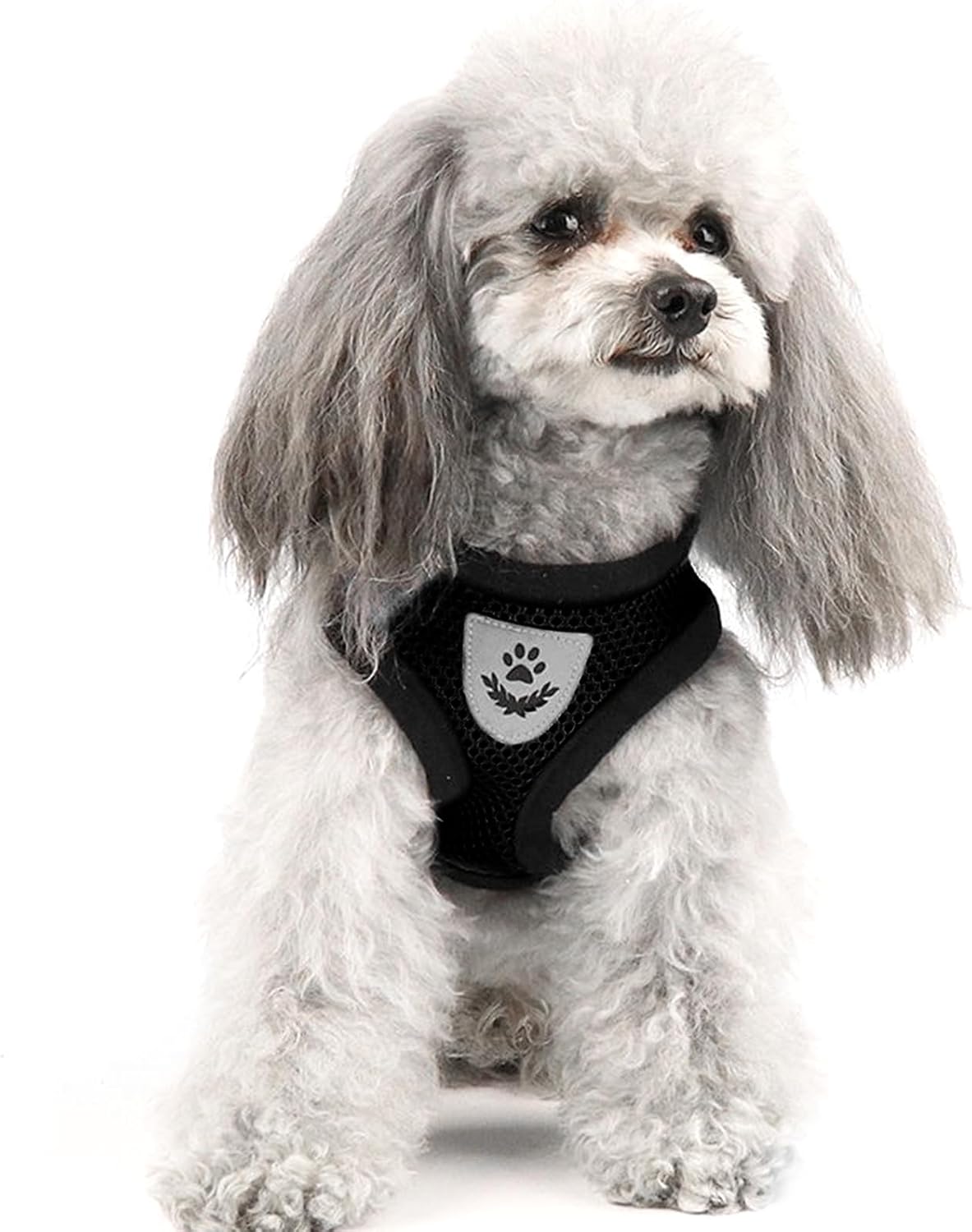 shudyear Summer cat Chest Harness and Leash, Anti-Escape Adjustable Soft mesh cat Leash and Chest Harness Set for All Types of Cats cat Vests (Size S,Black) - Image 7