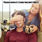 French Bulldog Car Ornament - Mirror Hanging Car Interior Accessory - Image 8