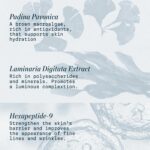 ELEMIS Pro-Collagen Night Cream for Face, Ultra Rich Nightly Facial Moisturizer - Image 8