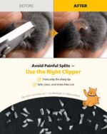 [PETHROOM] Cat Nail Clipper Trimmer for Indoor Cats with Circular Cut Hole (2mm) | Premium Sturdy Stainless Steel Blade Cat Claw | Safe, Easy, Accurate, Quiet & Fast | Avoid Overcutting - Image 7