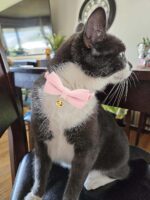 Cotton Breakaway Cat Collar with Bow Tie and Bell, Adjustable Cute Soft Corduroy Kitten Collars for Girl Cats - Image 5