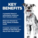 Hill's Science Diet Small & Mini, Senior Adult 7+, Small & Mini Breeds Senior Premium Nutrition, Wet Dog Food, Chicken & Barley Loaf, 5.8 oz Can, Case of 24 - Image 5