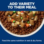 Hill's Science Diet Small & Mini, Senior Adult 7+, Small & Mini Breeds Senior Premium Nutrition, Wet Dog Food, Chicken & Barley Loaf, 5.8 oz Can, Case of 24 - Image 8