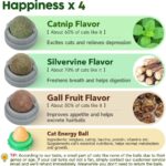 Potaroma Catnip Silvervine Balls 4 Pcs Extra Cat Energy Ball, Edible Kitten Lick, Teeth Cleaning Dental Chew Wall Treats for All Breeds (Grey) - Image 3