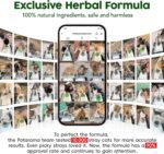 Potaroma Catnip Silvervine Balls 4 Pcs Extra Cat Energy Ball, Edible Kitten Lick, Teeth Cleaning Dental Chew Wall Treats for All Breeds (Grey) - Image 6