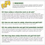 Potaroma Catnip Silvervine Balls 4 Pcs Extra Cat Energy Ball, Edible Kitten Lick, Teeth Cleaning Dental Chew Wall Treats for All Breeds (Grey) - Image 8