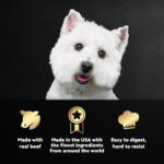 Cesar Wet Dog Food Steak Lovers Variety Pack, Adult, Wet Food for Dogs with Real Meat, 3.5 oz Easy Peel Trays, 24 Count - Image 3