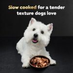 Cesar Wet Dog Food Steak Lovers Variety Pack, Adult, Wet Food for Dogs with Real Meat, 3.5 oz Easy Peel Trays, 24 Count - Image 4