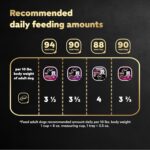 Cesar Wet Dog Food Steak Lovers Variety Pack, Adult, Wet Food for Dogs with Real Meat, 3.5 oz Easy Peel Trays, 24 Count - Image 6