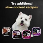 Cesar Wet Dog Food Steak Lovers Variety Pack, Adult, Wet Food for Dogs with Real Meat, 3.5 oz Easy Peel Trays, 24 Count - Image 8