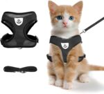 shudyear Summer cat Chest Harness and Leash, Anti-Escape Adjustable Soft mesh cat Leash and Chest Harness Set for All Types of Cats cat Vests (Size S,Black) - Image 2