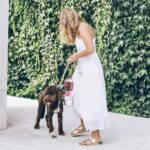 Dog Water Bottle with Food Container, Travel Puppy Water Bowl, Portable Pet Dispenser, Girl Dog Accessories Stuff Items Essentials Necessities for Yorkie Chihuahua Cat Walking and Hiking - Image 7