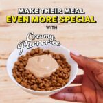 Temptations Creamy Puree Squeezable Lickable Cat Treats, Wet Cat Treats with Beef, Salmon, Chicken, and Tuna Variety Pack, 0.42 oz. Tubes, 48 Count - Image 10