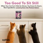 Dave's Pet Food Grain Free Wet Cat Food Pate (Beef & Chicken), Made in USA Naturally Healthy Canned, 12.5 oz Cans (12 Pack) - Image 6