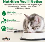 Dave's Pet Food Grain Free Wet Canned Cat Food Pate(Chicken), Made in USA Naturally Healthy, Wheat & Gluten-Free, 12.5 oz Cans (12 Pack) - Image 5