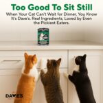 Dave's Pet Food Grain Free Wet Canned Cat Food Pate(Chicken), Made in USA Naturally Healthy, Wheat & Gluten-Free, 12.5 oz Cans (12 Pack) - Image 6