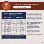 Natural Balance Limited Ingredient Adult Grain-Free Dry Dog Food, Salmon & Sweet Potato Recipe, Single Protein, Sensitive Stomach & Skin Support that is Vet Recommended, 24lb (Pk of 1) - Image 10