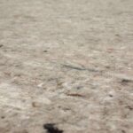 Mohawk Home Felt Rug Pad 9' x 12' - 1/4 Inch Thick Cushion for Area Rugs, Protective Underlay for Hardwood Floors, Comfort and Insulation – Felt Only Pad - Image 9