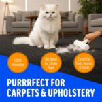 ChomChom Roller & Rake – Reusable Pet Hair Removal Roller with Rake Attachment for Cat & Dog Fur on Furniture, Couch, Carpet, Car, Rugs, Bedding & More– Portable, Eco-Friendly - Image 6