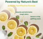 Good Natured Brand | Carpet Deodorizer & Freshener Powder | 47 oz Pet Odor Eliminator for Strong Odor & Pet Urine | Fresh Natural Lemon & Eucalyptus Scent | Safe for Homes with Pets - Image 5