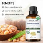 Majestic Pure Organic Frankincense Essential Oil - 100% Pure Frankincense Oil for Pain Relief, Skin Care, Hair Care & Aromatherapy, Premium Grade for Diffuser & Oil Diffuser - 0.3 fl oz - Image 3