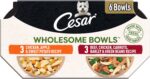 Cesar Wholesome Bowls Adult Wet Dog Food, Beef, Chicken, Carrots, Barley & Green Beans Recipe and Chicken, Apple & Sweet Potato Recipe Variety Pack, Wet Food for Dogs, 3 oz., 6 Count - Image 2